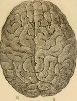 An illustration from Library of mesmerism and psychology (1871)