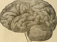 An illustration from Library of mesmerism and psychology (1871)