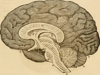Picture 23 of 33 from Library of mesmerism and psychology (1871), leaf 804