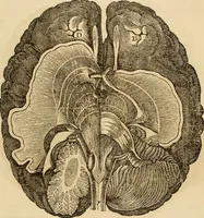 An illustration from Library of mesmerism and psychology (1871)