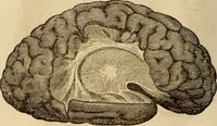 Picture 28 of 33 from Library of mesmerism and psychology (1871), leaf 809