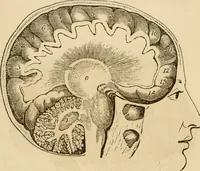 Picture 29 of 33 from Library of mesmerism and psychology (1871), leaf 810