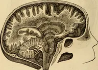 An illustration from Library of mesmerism and psychology (1871)