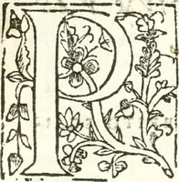 An illustration from Libri quatuor de antiqvitatibvs Lvsitaniae (1593)