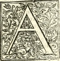 An illustration from Libri quatuor de antiqvitatibvs Lvsitaniae (1593)