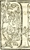 An illustration from Libri quatuor de antiqvitatibvs Lvsitaniae (1593)