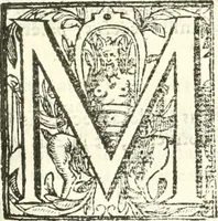 Picture 21 of 26 from Libri quatuor de antiqvitatibvs Lvsitaniae (1593), leaf 300