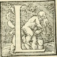 An illustration from Libri qvattro dell'antichita della citta di Roma : raccolte sotto brevita da diversi antichi et moderni scrittori (1565)