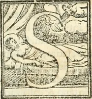 An illustration from Libri qvattro dell'antichita della citta di Roma : raccolte sotto brevita da diversi antichi et moderni scrittori (1565)