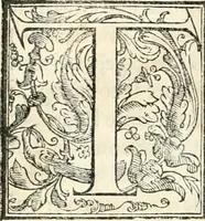 An illustration from Libri qvattro dell'antichita della citta di Roma : raccolte sotto brevita da diversi antichi et moderni scrittori (1565)