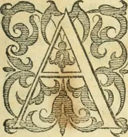 An illustration from Libri tres De indvciis belli Belgici (1613)
