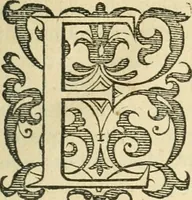 An illustration from Libri tres De indvciis belli Belgici (1613)