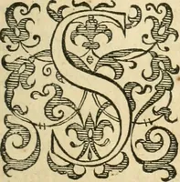 An illustration from Libri tres De indvciis belli Belgici (1613)