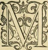 An illustration from Libri tres De indvciis belli Belgici (1613)