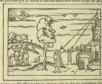 Picture 30 of 32 from Libro de la cosmographia (1548), leaf 148