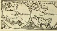 Picture 9 of 32 from Libro de la cosmographia (1548), leaf 32