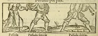 Picture 16 of 32 from Libro de la cosmographia (1548), leaf 42
