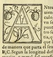 Picture 14 of 35 from Libro de la cosmographia (1548), leaf 34