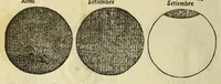 Picture 10 of 29 from Libro de la cosmographia (1548), leaf 36