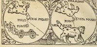 Picture 12 of 54 from Libro de la cosmographia (1548), leaf 24