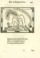 Picture 7 of 36 from Libro de las honras que hizo el Colegio de la Co[m]pañia de Iesus de Madrid, à la M.C. de la Emperatriz doña Maria de Austria, fundadora del dicho Colegio, que se celebraron a 21. de Abril de 1603 (1603), leaf 103