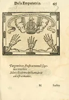 An illustration from Libro de las honras que hizo el Colegio de la Co[m]pañia de Iesus de Madrid, à la M.C. de la Emperatriz doña Maria de Austria, fundadora del dicho Colegio, que se celebraron a 21. de Abril de 1603 (1603)