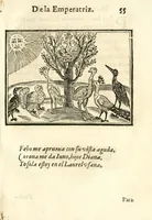 Picture 19 of 36 from Libro de las honras que hizo el Colegio de la Co[m]pañia de Iesus de Madrid, à la M.C. de la Emperatriz doña Maria de Austria, fundadora del dicho Colegio, que se celebraron a 21. de Abril de 1603 (1603), leaf 129