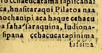 An illustration from Libro de la vida y milagros de Nuestro Señor Iesu Christo en dos lenguas, aymara, y romance, traducido de el que recopilo el licenciado Alonso de Villegas, quitadas, y añadidas algunas cosas, y acomodado a la capacidad de los Indios. Por el padre Ludouico Bertonio italiano de la Compañia de Iesus .. (1612)