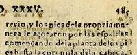 Picture 2 of 4 from Libro de la vida y milagros de Nuestro Señor Iesu Christo en dos lenguas, aymara, y romance, (1612), leaf 441