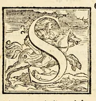 Picture 4 of 8 from Libro del consolato de' marinari. : nelquale si comprendono tutti gli statuti, & ordini disposti da gli antichi per ogni caso di mercantia, ò di nauigare, cosi à beneficio de' marinari, come de' mercanti, & patron de' nauilij. : con l'aggiunta delle ordinationi sopra l'armate di mare, sicurtà, entrate, & uscite (1566), leaf 13