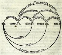 An illustration from Libro de natvra de amore (1525)