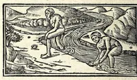 An illustration from Libro de uita contemplatiua, lectione, meditatione, oratione, contemplatione, scala dil paradiso intitulato : cum adaptatione mistica dellhistorie diuine & expositione de suoi misterii et excellentissimi sacramenti (1527)