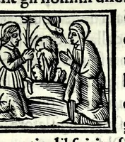 An illustration from Libro de uita contemplatiua, lectione, meditatione, oratione, contemplatione, scala dil paradiso intitulato : cum adaptatione mistica dellhistorie diuine & expositione de suoi misterii et excellentissimi sacramenti (1527)