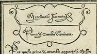 An illustration from Libro di M. Giovambattista Palatino cittadino romano : nelqual s'insegna à scriuer ogni sorte lettera, antica & moderna, di qualun que natione, con le sue regole, & misure, & essempi : et con vn breve et vtil discorso de le cifre (1550)