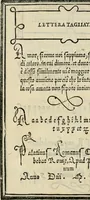An illustration from Libro di M. Giovambattista Palatino cittadino romano : nelqual s'insegna à scriuer ogni sorte lettera, antica & moderna, di qualun que natione, con le sue regole, & misure, & essempi : et con vn breve et vtil discorso de le cifre (1550)