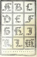 Picture 25 of 40 from Libro di M. Giovam Battista Palatino, cittadino romano, nelqual s'insegna à scriuer ogni sorte lettera, antica & moderna, di qualunque natione, con le sue regole & misure, & essempi : et con vn breve et vtil discorso de le cifre : riueduto nuouamente & corretto dal proprio autore, con la givnta di qvindici tavole bellissime (1561), leaf 72