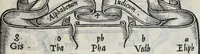 Picture 37 of 41 from Libro di M. Giovanbattista Palatino cittadino romano : nel qual s'insegna à scriuere ogni sorte lettera, antica, et moderna, di qualunque natione, con le sue regole, et misure, et essempi : et con vn breve, et vtil discorso de le cifre (1548), leaf 115