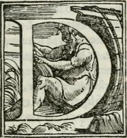 An illustration from Libro di m. Pyrrho Ligori napolitano, delle antichità di Roma, nel qvale si tratta de' circi, theatri, & anfitheatri (1553)
