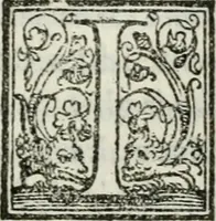 An illustration from Libro di m. Pyrrho Ligori napolitano, delle antichità di Roma, nel qvale si tratta de' circi, theatri, & anfitheatri (1553)