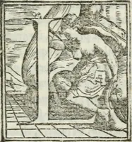 An illustration from Libro di m. Pyrrho Ligori napolitano, delle antichità di Roma, nel qvale si tratta de' circi, theatri, & anfitheatri (1553)