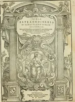 An illustration from Libro estraordinario di Sebastiano Serlio bolognese : nel quale si dimostrano trenta porte di opera rustica, mista con diuersi ordini, & uenti di opera dilicata di diuerse specie : con la scrittura dauanti, che narra il tutto (1566)