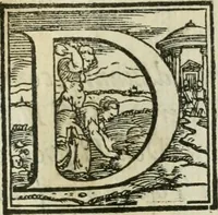 An illustration from Libro estraordinario di Sebastiano Serlio bolognese : nel quale si dimostrano trenta porte di opera rustica, mista con diuersi ordini, & uenti di opera dilicata di diuerse specie : con la scrittura dauanti, che narra il tutto (1566)