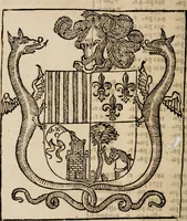 Picture 16 of 25 from Libro general delas reduciones de plata, y oro de diferentes leyes y pesos ... con otras reglas. y auisos muy necessarios para estos reynos del Piru .. (1597), leaf 313
