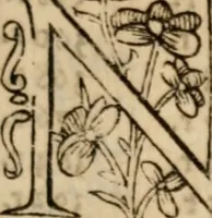 Picture 17 of 25 from Libro general delas reduciones de plata, y oro de diferentes leyes y pesos ... con otras reglas. y auisos muy necessarios para estos reynos del Piru .. (1597), leaf 314