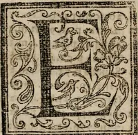 Picture 21 of 25 from Libro general delas reduciones de plata, y oro de diferentes leyes y pesos ... con otras reglas. y auisos muy necessarios para estos reynos del Piru .. (1597), leaf 351