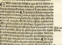 An illustration from Libro llamado Thesoro de virtudes muy vtil & copioso. (1543)