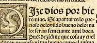 Picture 6 of 15 from Libro llamado Thesoro de virtudes muy vtil & copioso. (1543), leaf 49