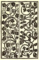 An illustration from Libro primo de rechami p elquale se impara in diuersi modi l'ordine e il modo de recamare : cosa nō mai piu fatta ne stata mostrata : el qual modo se insegna al lettore voltando la carta (1878)