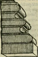 An illustration from Libro primo [-quinto] d'architettvra ... (1566)
