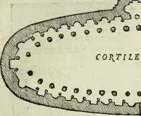 Picture 122 of 438 from Libro primo [-quinto] d'architettvra ... (1566), leaf 118